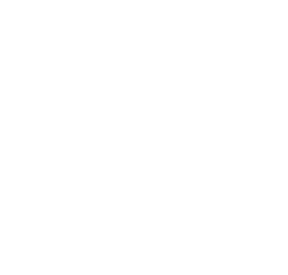 ODIN Logo